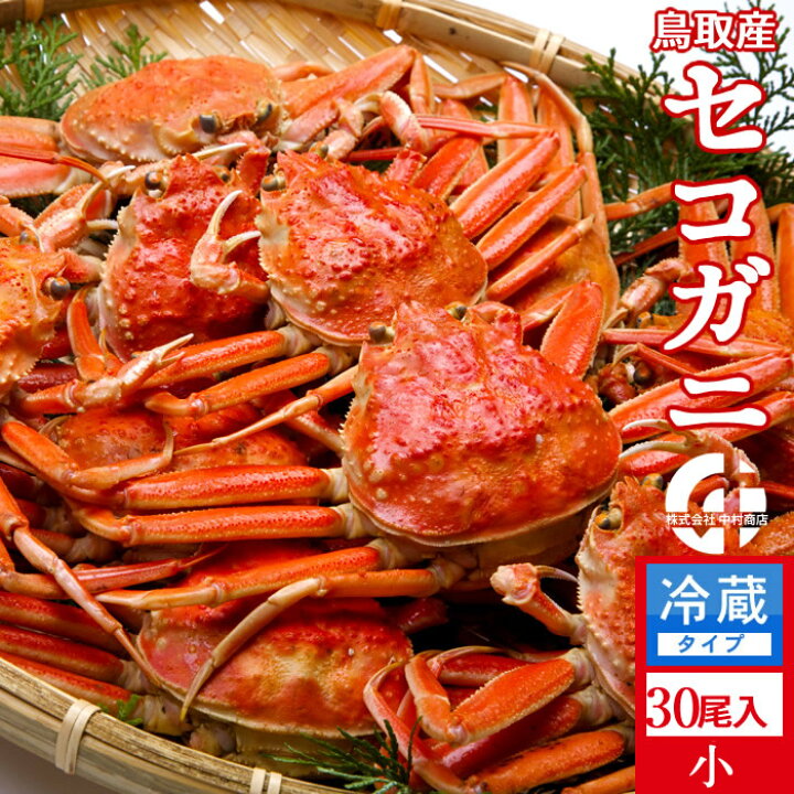 楽天市場 香箱がに セイコガニ 新物 かに セコガニ 小3kg 30尾入 浜ゆで 松葉蟹のメス ゆでがに 鳥取県産 通販 産地直送 せこ蟹 せいこがに マツバガニ 親蟹 おすすめ お歳暮 ギフト かにの駅さかなの駅 マルナカ