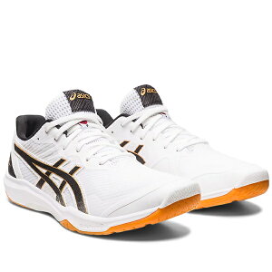 AVbNX@[eWpG[gFF3@ROTE JAPAN LYTE FF 3@1053A054-100@o[V[Y