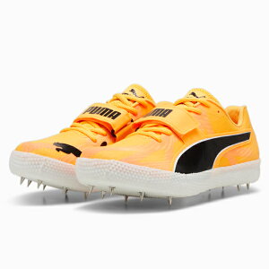 v[}@GHXs[h nCWv 11 EgEB[u@379313-01@㒵pXpCN