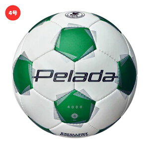 e molten@y[_4000@wp TbJ[{[(4) TbJ[苅@F4K4000-WG@6y[_@zCg×O[