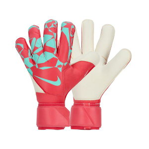 iCL@NIKE@GK@Obv3@S[L[p[O[u@HQ0256-850@TbJ[GKOu@bh