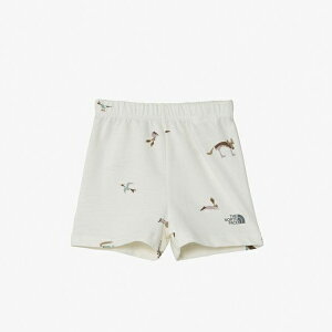 [֔z@UEm[XEtFCX@gu[YV[gixr[j@NBB42555-CA@V[gpc