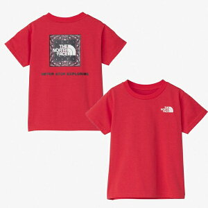 [֔z@UEm[XEtFCX@gh[V[gX[uo_iXNFASeB[iLbYj@NTT32546-HI@TVc