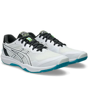 AVbNX@[eWpCg FF3@ROTE JAPAN LYTE FF 3@1053A054-105@o[V[Y