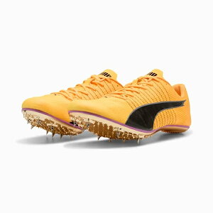 v[}@GHXs[h ubV 6@311984-01@XpCN@01Sun Stream-Pure Magenta-PUMA Blacky100m-400mAn[hz