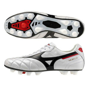 yN[|ΏہIzyA2/NXXeb`z~Ym@AII JAPAN@P1GA250209@TbJ[XpCN@09FX[p[zCgp[×ubN