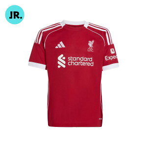 [֔@AfB_X adidas@ov[FC 25/26 z[jtH[ LbY@JYF33-JV6436@WjA(qp)@TbJ[EFA