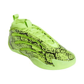 アディダス　ハーデン ボリューム 9 / Harden Volume 9　JR8289　バスケットボールシューズ