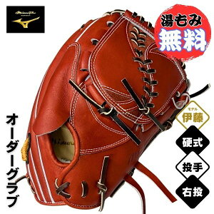 �~�Y�m�v�� MizunoPro �I�[�_�[�@�d�� �싅�O���u �O���[�u�@1AJGH73350�@����p(�ɓ��^/�T�C�Y11/�s�b�`���[) / �E���p�@���[�Y�u���E��