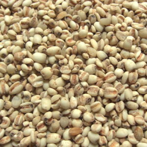 ͂Ɣ (1kg) Y y[֑Ή/1kg܂Łz