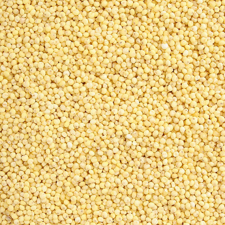 楽天市場】もちきび (500g) 中国産 【メール便対応/1kgまで】 : 松葉屋 楽天市場】もちきび (500g) 中国産 【メール便対応/1kgまで】 : 松葉屋