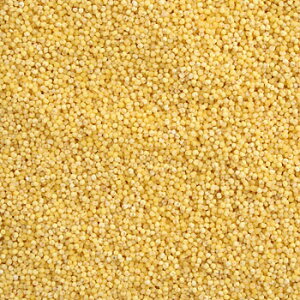  (500g) Y y[֑Ή/1kg܂Łz