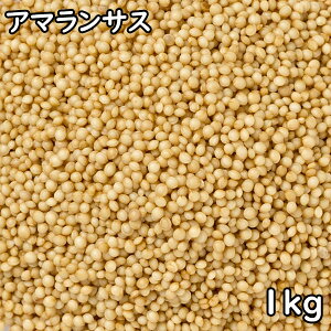 A}TX (1kg) y[Y y[֑Ή/1kg܂Łz