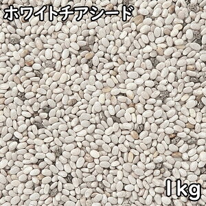 zCg`AV[h (1kg) y[Y yyzy[֑Ή/1kg܂Łz