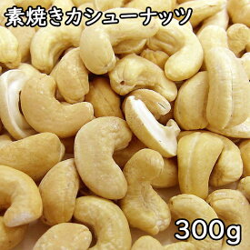 素焼きカシューナッツ (300g) インド産 【メール便対応/1kgまで】