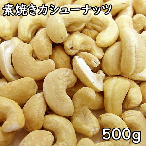 素焼きカシューナッツ (500g) インド産 【メール便対応/1kgまで】