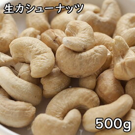 生カシューナッツ (500g) インド産 【メール便対応/1kgまで】