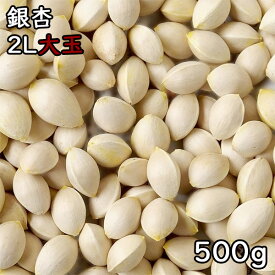 銀杏 (大玉) (500g) 令和7年 大分県産