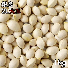銀杏 (大玉) (1kg) 令和7年産 大分県産