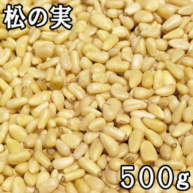松の実 (500g) 大粒 中国産 【メール便対応/1kgまで】
