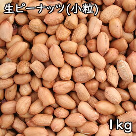 【送料無料】生ピーナッツ (1kg×10) 中国産