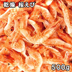   (500g) pY yz
