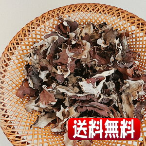 ySꗥEEAsENbN|Xgzz茧YLNQ140g