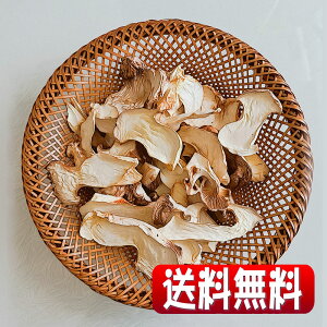 茧YIn͔|XCXGM 70g(SꗥEEAsENbN|Xgz)