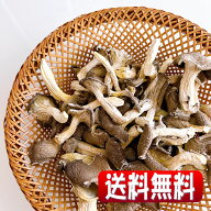岩手県産露地栽培乾燥 Oyster Mushroom（ひらたけ） 70g(全国一律・送料無料・同梱、代引不可・クリック…
