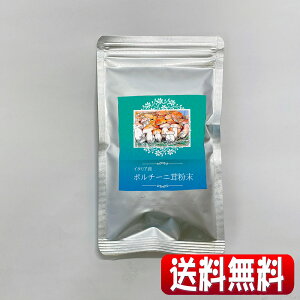 EO傫̂̈BHރC^AY|`[j40g(SꗥEEAsENbN|Xgz)