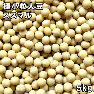 ɏ XY}哤 (5kg) kCY yz