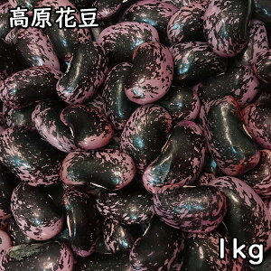 ԓ (1kg) ߘa6N QnڗY yzy[֑Ή/1kg܂Łz