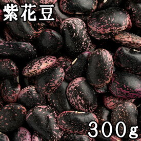 紫花豆 (紫花いんげん) (300g) 令和5年 北海道産 【メール便対応/1kgまで】