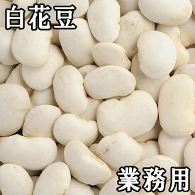 白花豆 (白いんげん) (30kg業務用) 令和5年 北海道産 【送料無料】