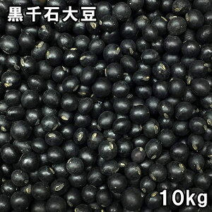 Α哤 (10kg) ߘa5NY kCY yz