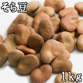 そら豆 (1kg) ペルー産 【メール便対応/1kgまで】