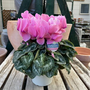 VN V[xg 5 A sN Mtg v[g Ε NX}X