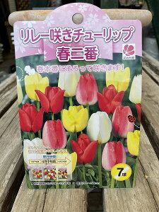 `[bv t HA FMIX  7 t{