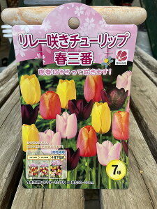 `[bv tO HA FMIX  7 ӏt