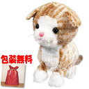 楽天市場 まねっこ ラジオ体操 こぐまの元気くん 動くぬいぐるみ クマのぬいぐるみ マネしながら体をピョコピョコ ラジオ体操が流れます 子熊の元気くん 子熊の元気クン け マツカメショッピング