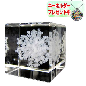 y11/102l1lő100%PzjJ 3DJoEph}L[u q[OL[z_[v[g 3DJoph}L[u 3DJoV[Y GlM[ p[ Op`[t