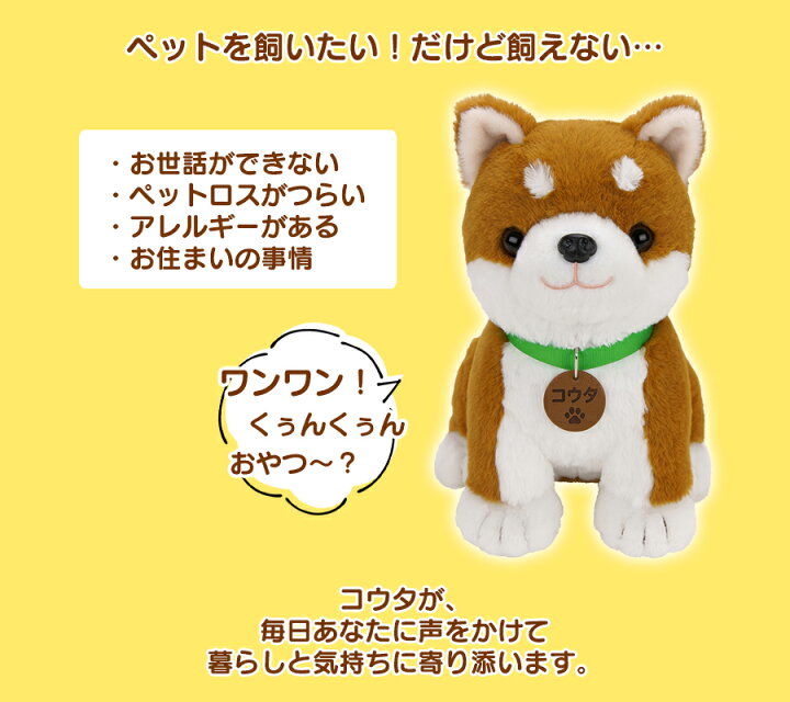楽天市場 柴犬 ぬいぐるみ グッズ 包装無料 しゃべるぬいぐるみ 犬 可愛い 動く 話す こんにちワン しばいぬコウタ しゃべる 電池付き 犬 イヌ 柴犬 しばいぬ 音声認識 会話 電子ペット お話 玩具 敬老の日 おしゃべり 柴犬コウタ ロボット犬 一人暮らし 高齢者 子供
