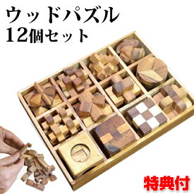 《2000円クーポン配布中》ウッドパズル 12個セット パズル 木製 木 シンプル 知育玩具 大人 子供 小学生 手先の運動 頭を使う 家族で楽しめる 自粛期間中 ストレス発散 趣味 ホビー 木製パズル 難しい 高難度 やりがいがある 暇つぶし 時間潰し ステイホ