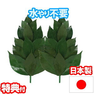 vU[uh SSTCY FS-001SS sv OgY ֗t  vU[uhH  ~jTCY Y _Ip _lI  TJL vU[uht[ OCt _  Q 