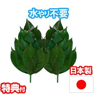 y2Ԍ蒊IőSzN[|zvU[uh SVTCY FS-003SV sv ʃ^Cv OgY ֗t  _lI  TJL vU[uhH  ~jTCY Y _Ip vU[u