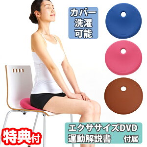 y12/12l1lő100%PzyIԌiitz o[NbV}X^[ LW-VG358  DVDt GANbV g[jO tBbglX GNTTCY ^s g[jONbV