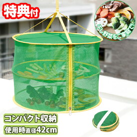 【P最大47倍&クーポン】コンパクトにたためる乾物ネット 折りたたみ コンパクト収納 一夜干しネット 乾物用ネット 干し物ネット 干し器 干し野菜 干物 干し魚 ドライフルーツ 乾物 一夜干し 天日干し 梅干し 魚 野菜 食器乾燥 キャンプ アウトドア 日干し