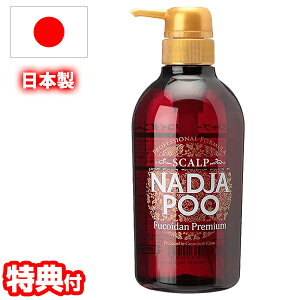y9/202l1lő100%PzyIԌiitz XJviWv[Fv~A { 500ml ϕi Vv[ mVR  F N[oX   wA ێ iWy[l 