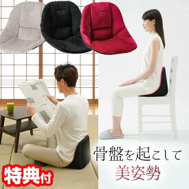 【選ぶ景品】 コシオスプレミアム クッション 美姿勢座 椅子 ニーズ 骨盤座椅子 腰痛座椅子 cosios PREMIUM 骨盤矯正クッション ボードクッション 骨盤矯正 椅子 イス S字カーブ 骨盤安定 イス シート 腰押す コシオス 骨盤起こし 骨盤椅子