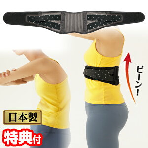 yPő48{&N[|zG搶̔p΂Wxg { xg T|[^[ bV ΂獜xg ΂xg pxg xg pxg Lwh~xg ΂_u